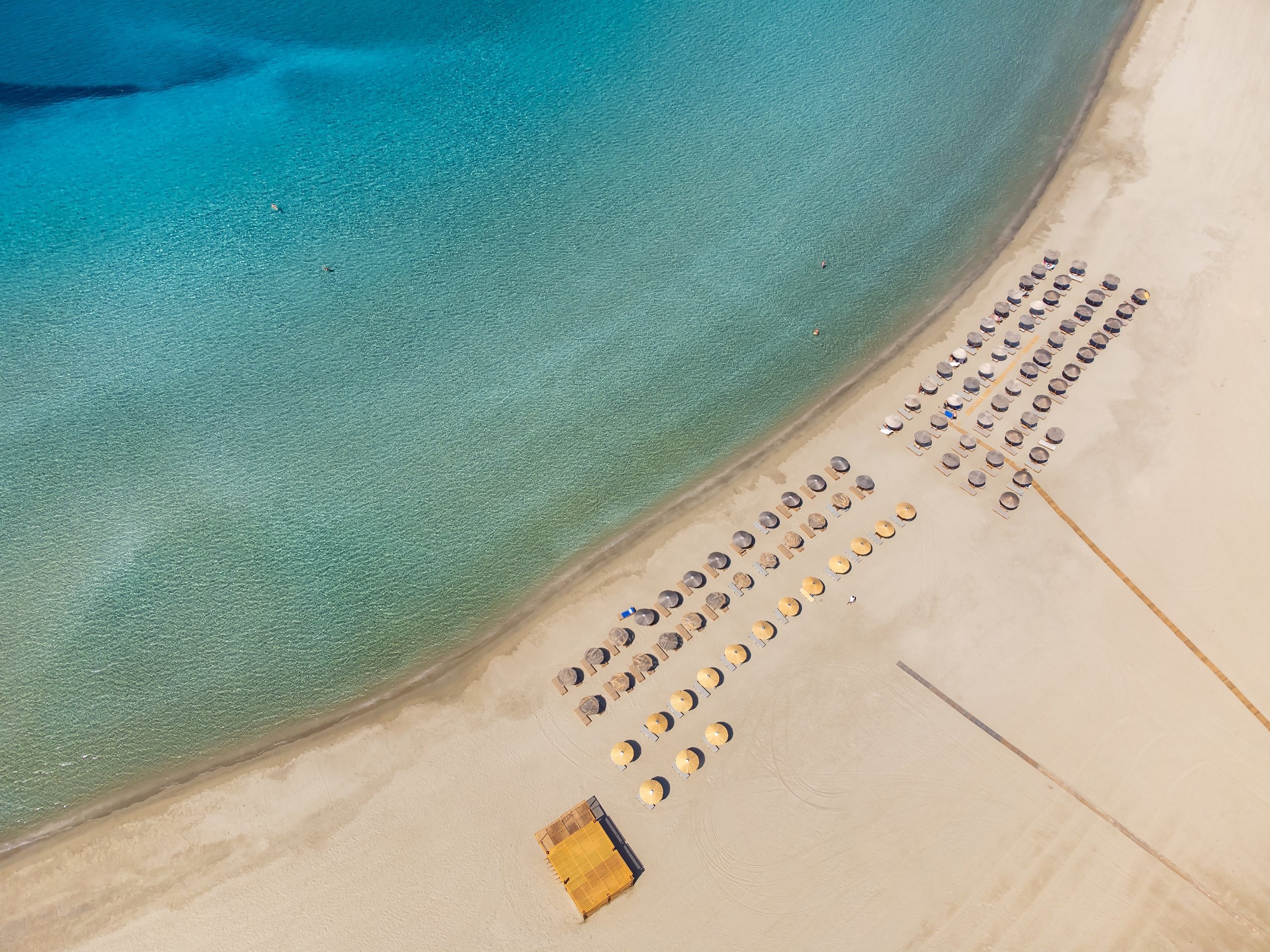 shutterstock 2479166791 (1)